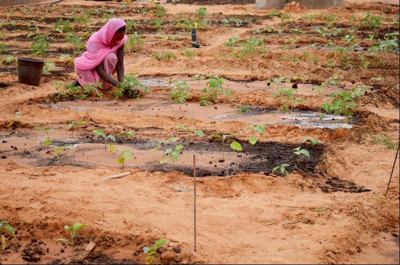   Agua Fuente de vida. Mauritania/Myriam Sagastizabal/Manos UNidas