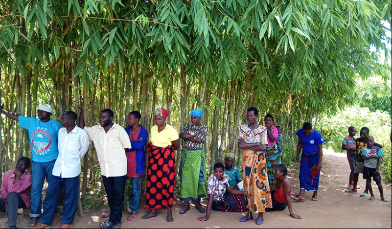 Proyecto de mejora de medios de vida de familias campesinas para paliar el hambre en África. Fotografía: Manos Unidas