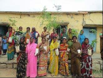 Mujeres de la India preparas para plantar árboles
