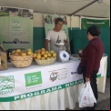 Día Mundial del Medio Ambiente 2020. Proyecto Manos Unidas en Quisqui (Perú). Foto: IDMA.