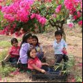 Niños bajo un árbol en Chiapas