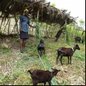Proyecto Caritas Jacmel, Haiti