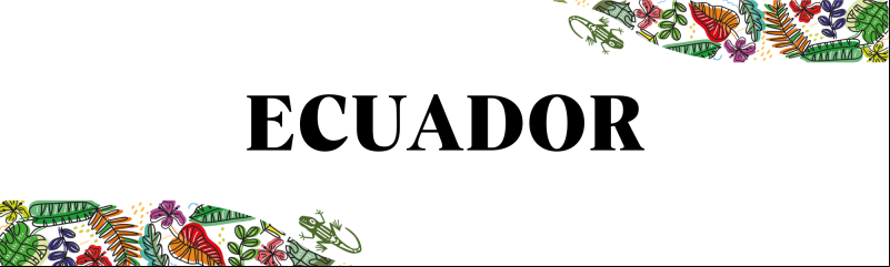 Manos Unidas ONG - Encuentro Panamazónico Ecuador 2023 - Ecuador