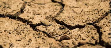 Tierra seca y agrietada