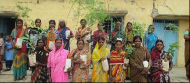 Mujeres de la India preparas para plantar árboles