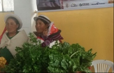 La Organización de mujeres San Francisco Cuatro Esquinas e la exposición de Palmira