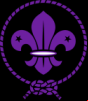 Scouts San Miguel Plasencia