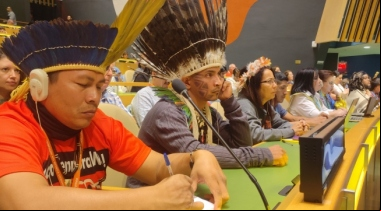 Manos Unidas ONG - La Iglesia y los indígenas de Latinoamérica alzan sus voces en la ONU