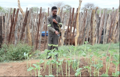 Mduduzi Dube, beneficiario en Zimbabue. Foto: Manos Unidas